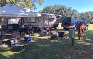 2020 Forest River RV Wildwood X-Lite 261BHXL