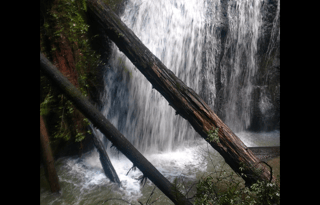 PERFECT Family RV Trailer Bunk House-PetsWelcome