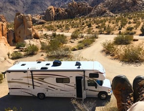 Forest River RV Sunseeker 3010DS