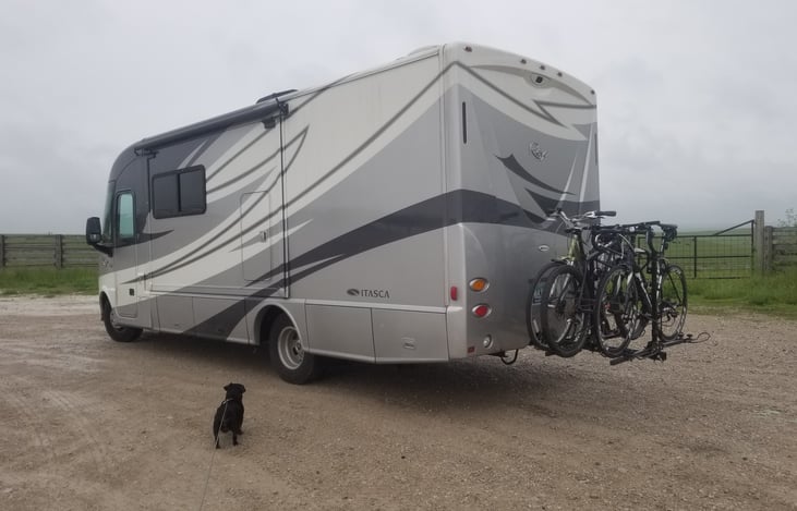 Four bikes and a dog