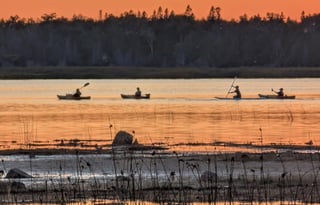 2021 Forest River RV at Epoufette Bay Point