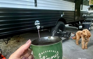 2024 Viking saga BRAND NEW