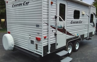 Rene's Canyon Cat