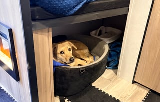 Small Family Camper! Kid friendly/pet friendly