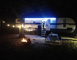 Forest River RV Wildwood 29VBUD