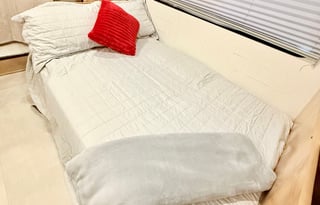 Luna the Leprechaun -2021 Coachmen RV Leprechaun