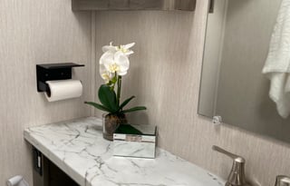 2021 RESORT STYLE RV LIVING !  32 FT Coachman Freelander