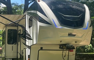 Unbound Adventure's - Bruce the Moose