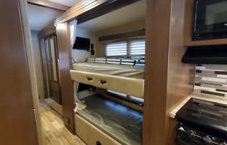 2018 Thor Motor Coach - ACE 30.2 Bunkhouse