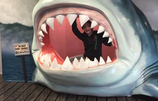 Affordable Camping 2025 Jayco sleeps 5-6