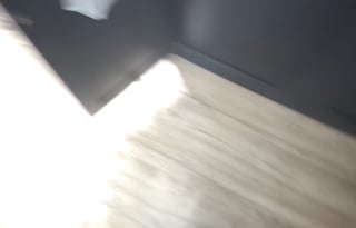 The Fraisers Pup - 2022 Wolf Pup 17JG