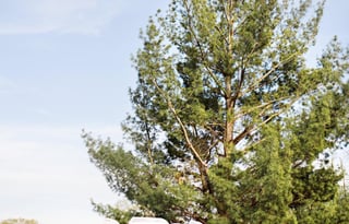 Get Away In An Airstream Bambi 19CB