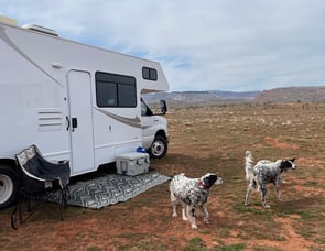 Thor Motor Coach Majestic 28A