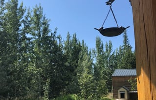 Airstream Luxury Our Place or We Deliver Anywhere!