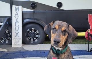 Mayeux Adventure with your kids and pets!