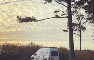 Vanna White | Great on Gas | Easy to Drive