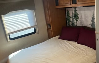 Curly - Winnebago ready for adventure!