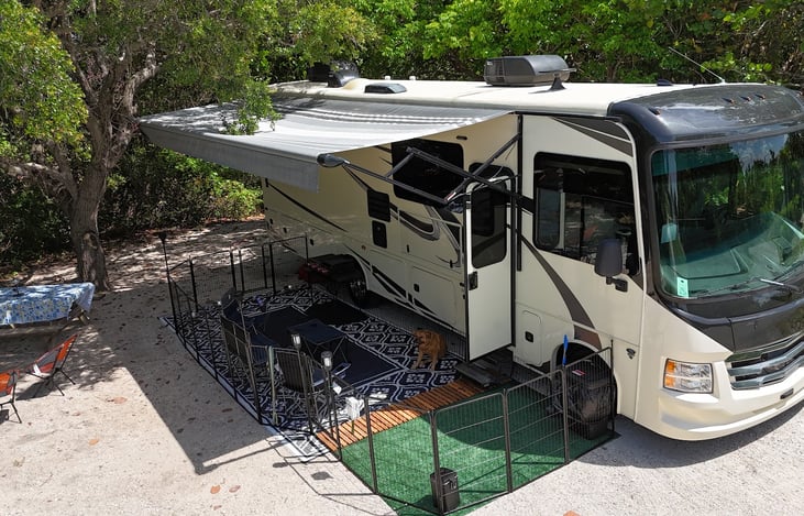 Outdoor Paws & Play Enclosure Shown