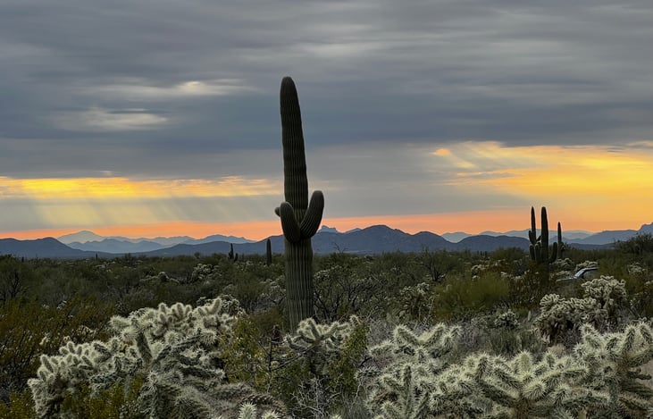 Tonto National Forest