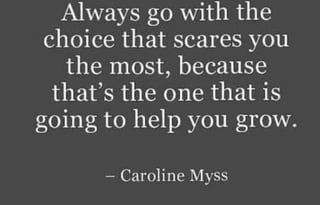 RV Trippin - "Theodore" - Thor Chateau