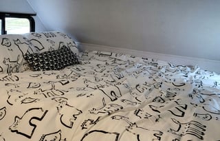 2021 Forest River RV Sunseeker LE 2850SLE Ford