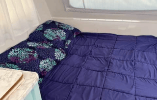 2009 Forest River RV Pod 172