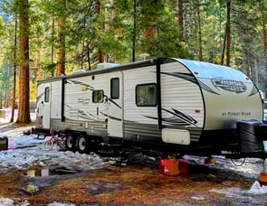 Forest River RV Salem Cruise Lite 262BH