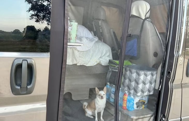 Entry to coach with magnetic opening screen