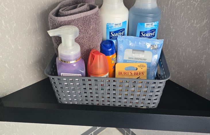 Shampoo, conditioner, bug spray, sunscreen, etc