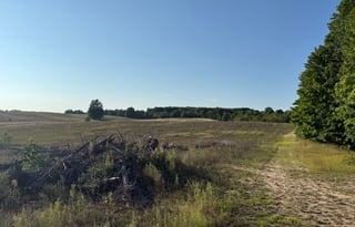 The Backwoods Bunkhouse