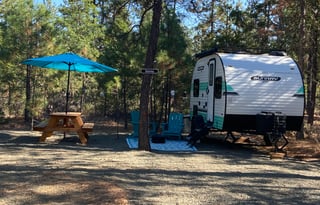 “Sunray In The Woods” at Starlit Glamping LLC PETS