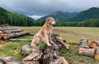 2022 Thor Class B Rize 18M