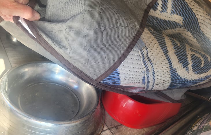 RV rug and dog bowls (in cabinet underneath bed- accessible from exterior)
