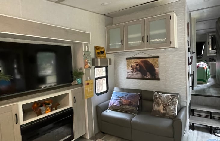 Another view of TV/Fireplace area and sofa bed.