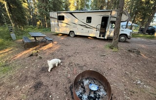 Gold Rush Glamping - Room for all!