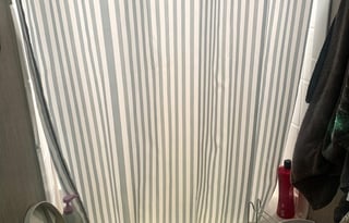 Sleeps 8 and Dogs are Great!