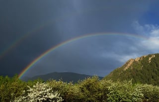 4WD All-Season "Rosie" UNLIMITED MILES + Starlink