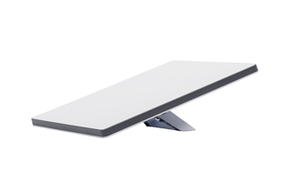 Lightweight 2022 Forest River  Wolf Pup 18RJB