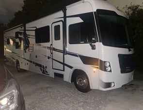 Ford Forest River FR3 32DS