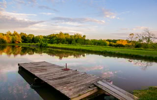 Come Glamp On Our Horse Farm!