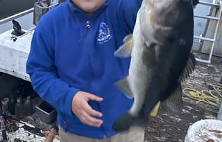 2010 Keystone Montana 5th wheel 3150 RL