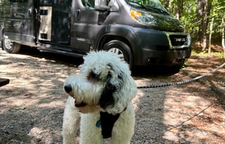 Aventura, van rental for your next Adventure!