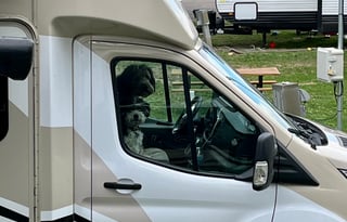 AWD Pet Friendly, Easy to drive even in Snow!