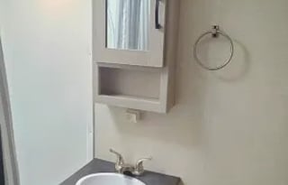 2022 Apex Nano-The Cozy Camper