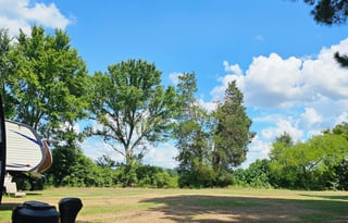 Indigo on the Ranch
