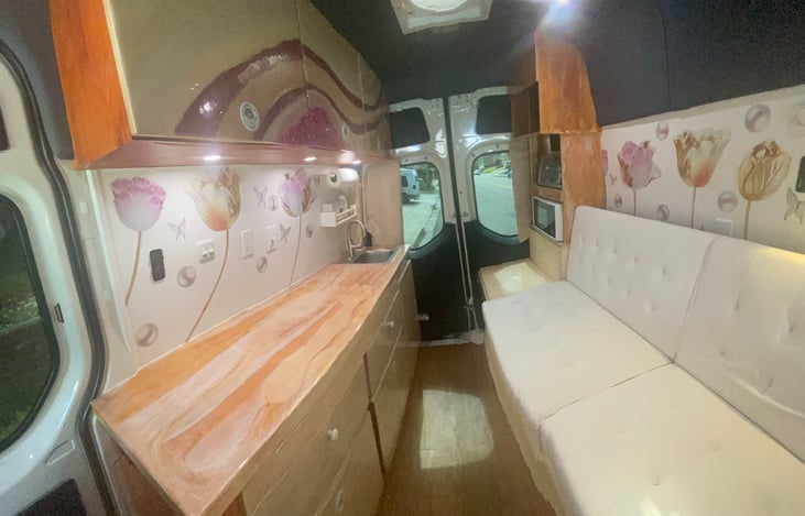 LOUNGE AREA WITH PULL OUT SOFA BED