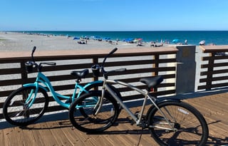 Summer Special - Trailer Delivered and Setup