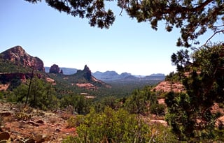 Appa, the majestic off-grid wonder-condo on wheels