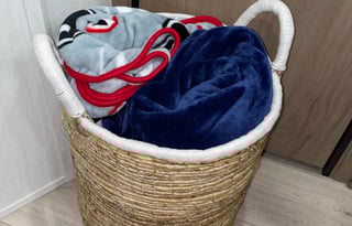 2025 Grey Wolf Fully Loaded & Pets Friendly