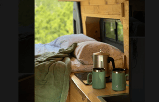 "Roosevelt" Spirit of Adventure 2019 Ford Transit